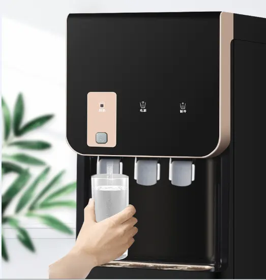 Freestanding Hot and Cold Water Dispenser