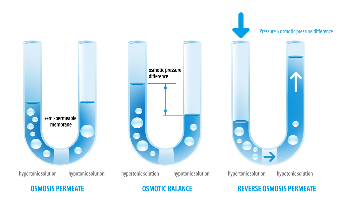 What is Reverse Osmosis?